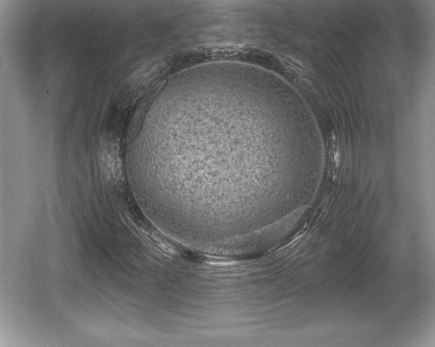 X0000059071252200510101041