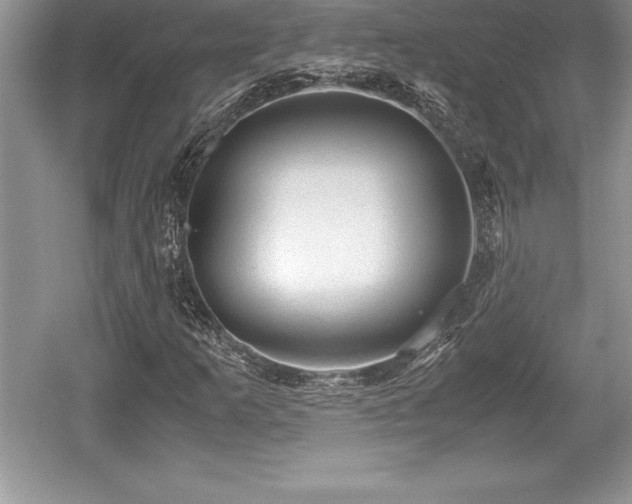 X0000059071253200510101041