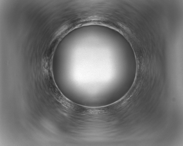 X0000059071258200510101041