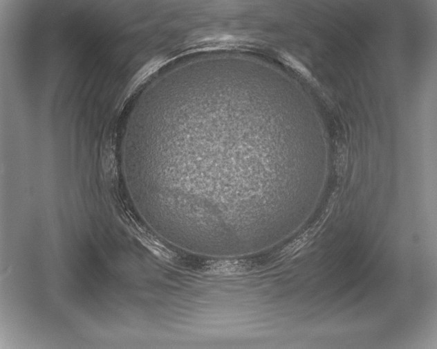 X0000059071259200510101041