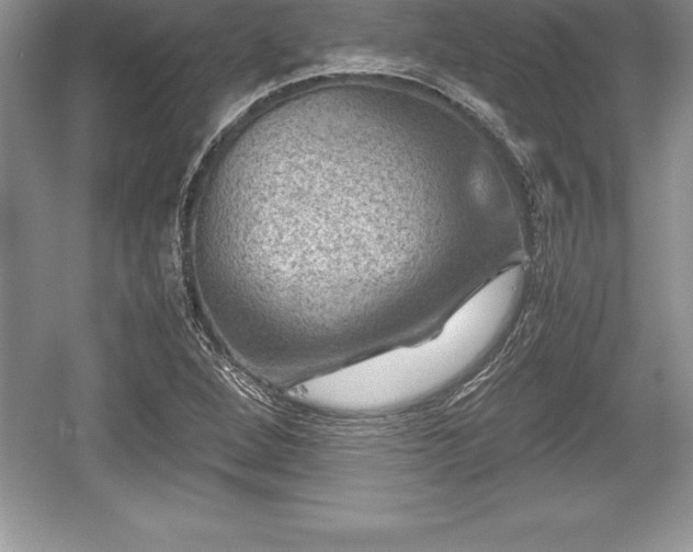 X0000059071264200510101041