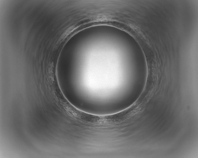 X0000059071265200510101041