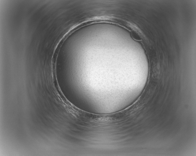 X0000059071268200510101041