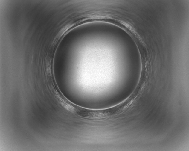 X0000059071273200510101041