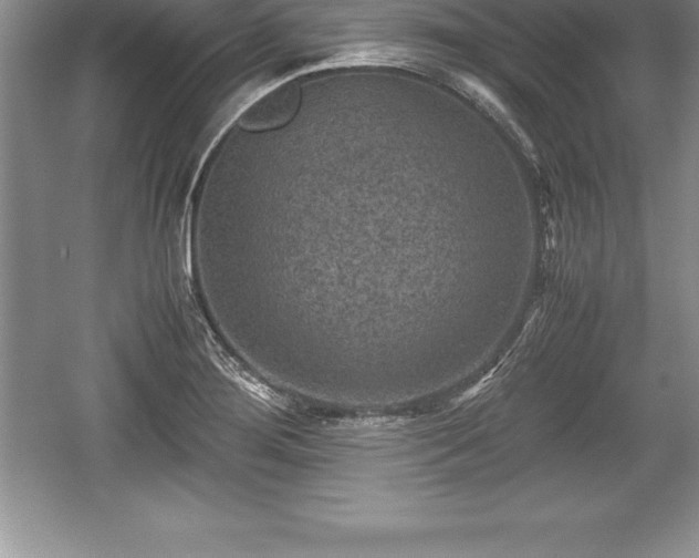 X0000059071276200510101041