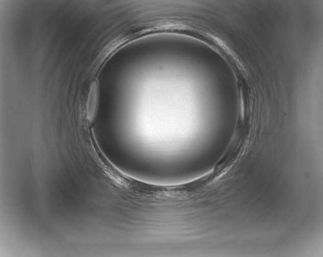 X0000059071281200510101041