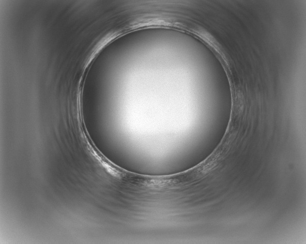 X0000059071290200510101040
