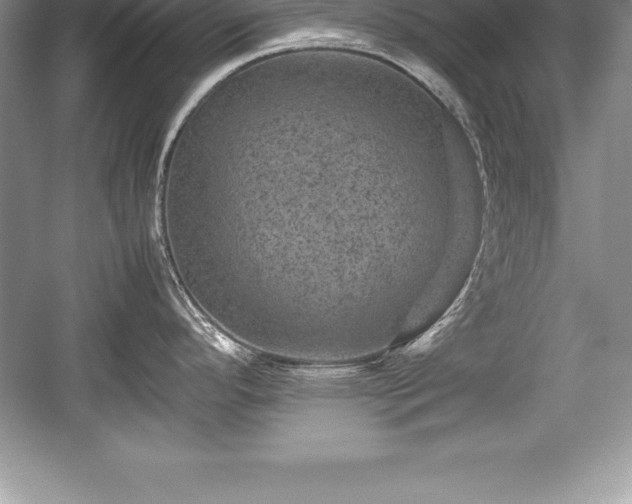 X0000059071296200510101040