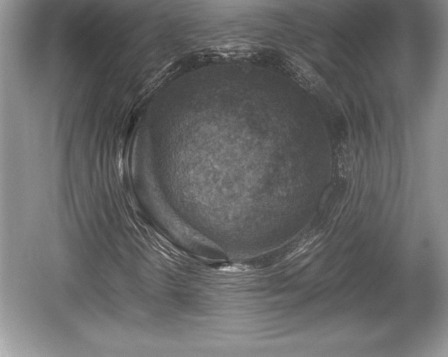 X0000059071298200510101040