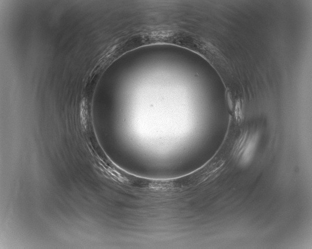 X0000059071299200510101040