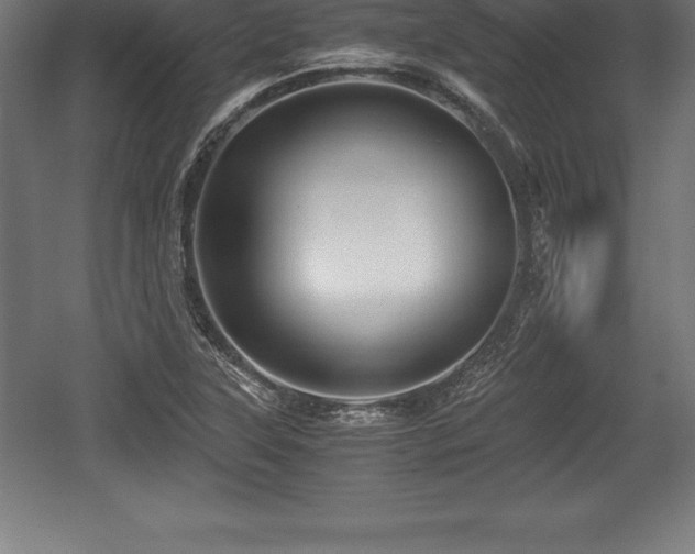 X0000059071315200510101040