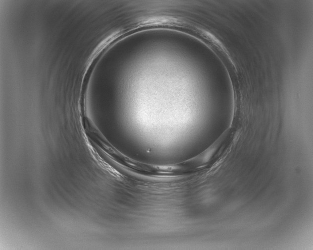 X0000059071330200510101040