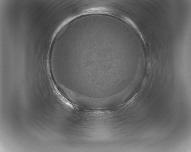 X0000059071336200510101040