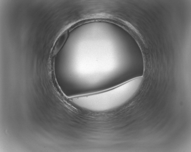 X0000059071364200510101039