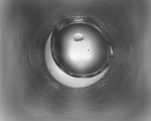 X0000059071394200510101038