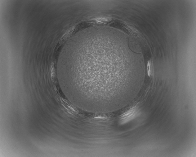 X0000059071395200510101038