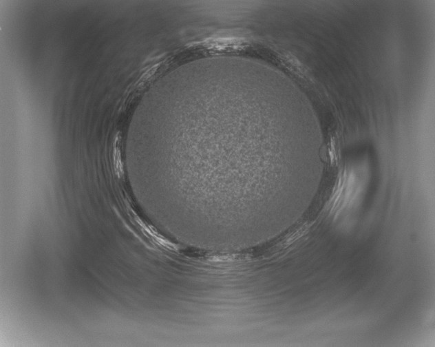 X0000059071396200510101038