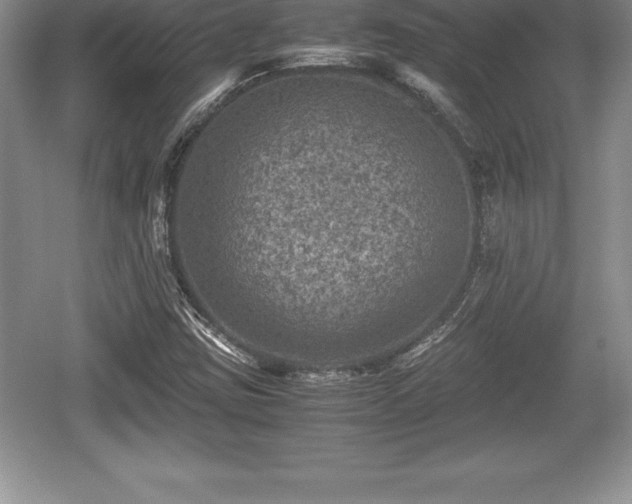 X0000059071403200510101038