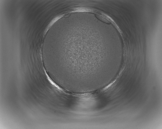 X0000059071433200510101039