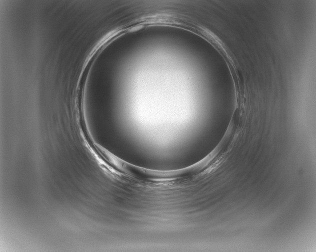 X0000059071434200510101039