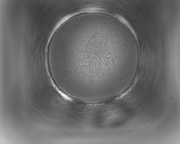 X0000059071437200510101039