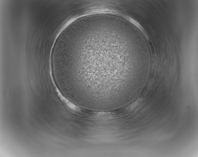 X0000059071439200510101039