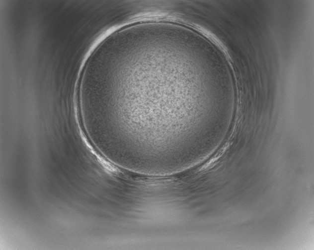 X0000059071440200510101039