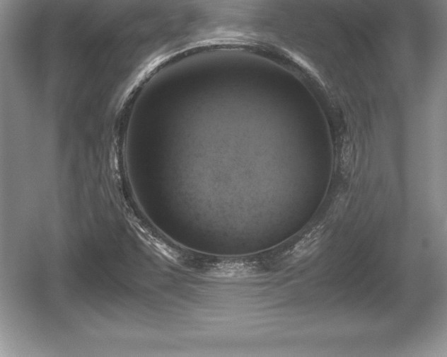 X0000059071455200510101038