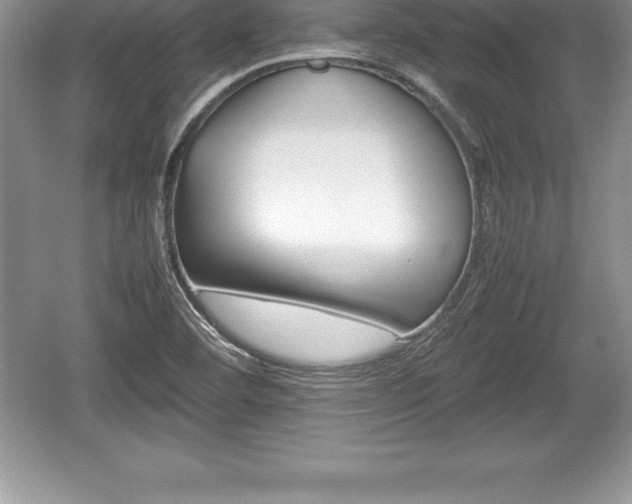 X0000059071460200510101038