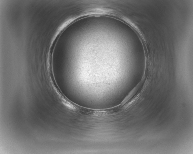 X0000059071477200510101037