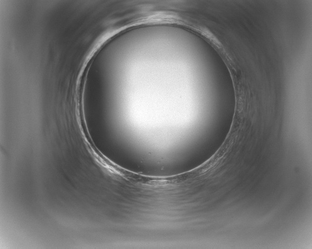 X0000059071478200510101037