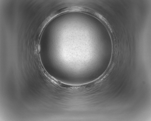 X0000059071481200510101037