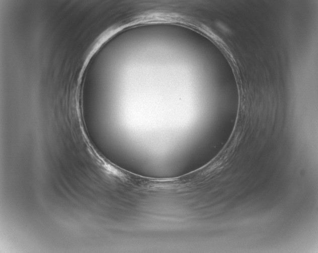 X0000059071486200510101037