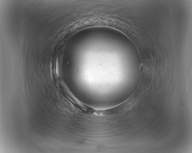 X0000059071490200510101036