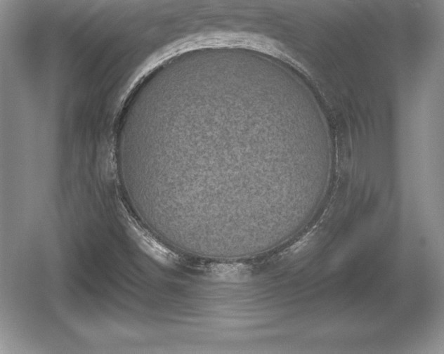 X0000059071498200510101036
