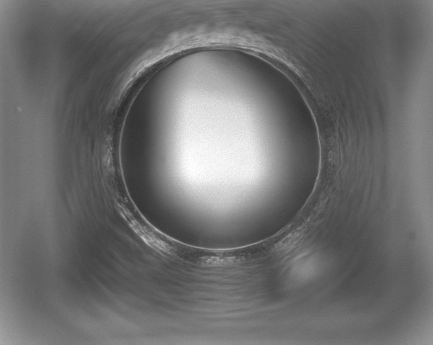 X0000059071499200510101036