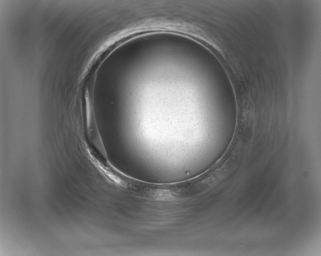 X0000059071507200510101037