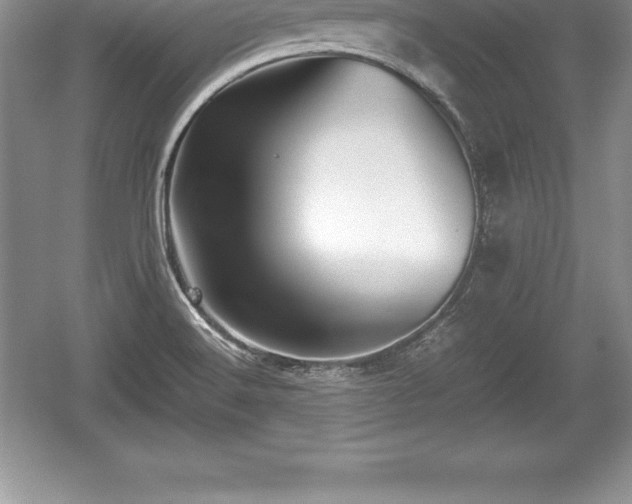 X0000059071516200510101037
