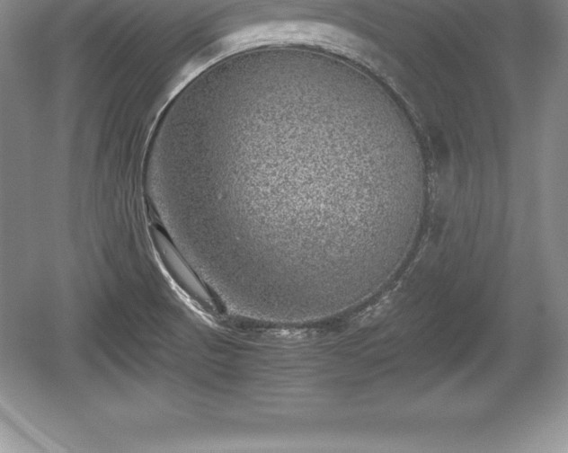 X0000059071521200510101037