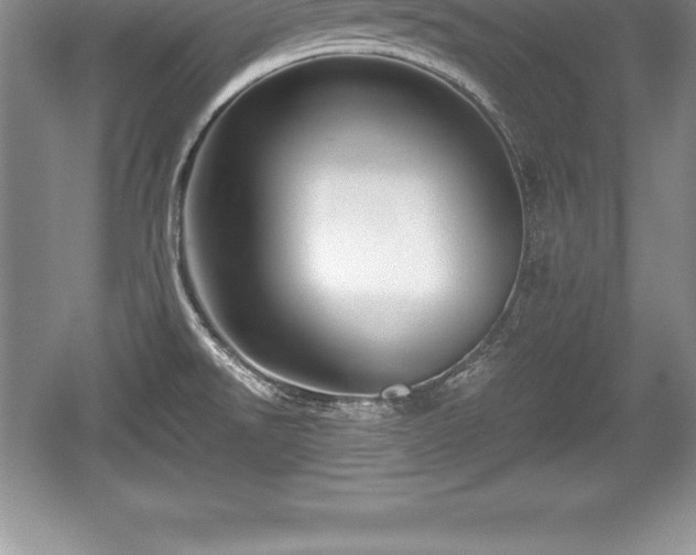 X0000059071526200510101037