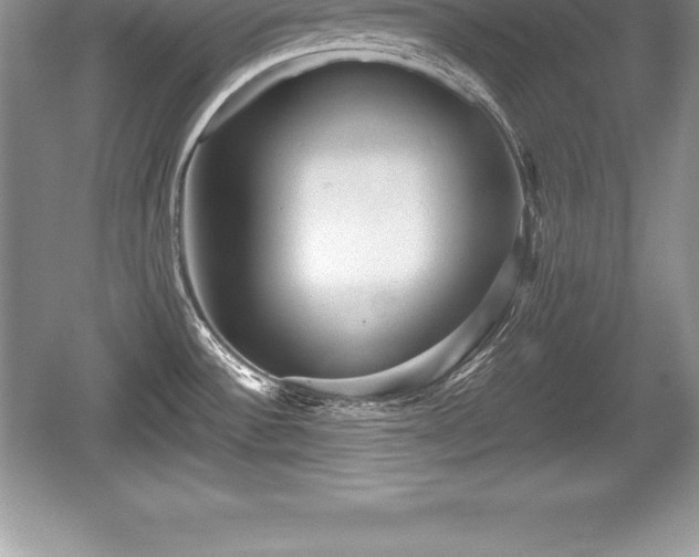 X0000059071532200510101037