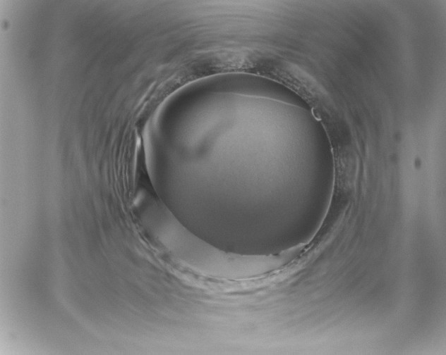 X0000059070035200510172015