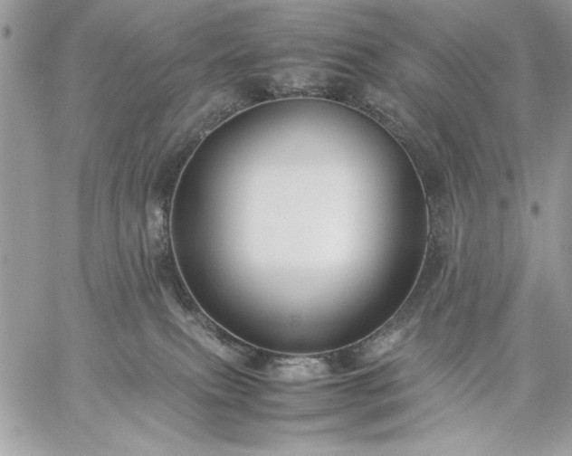 X0000059070087200510172015
