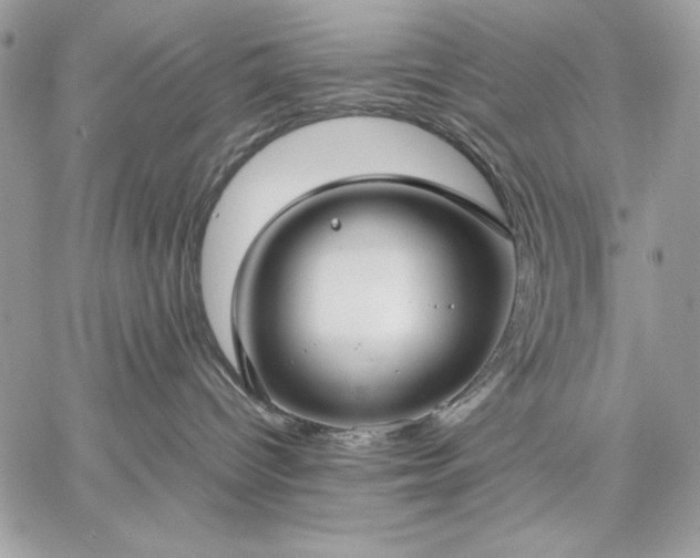 X0000059070096200510172015