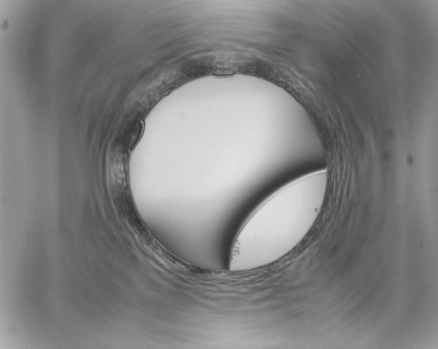 X0000059070137200510172014
