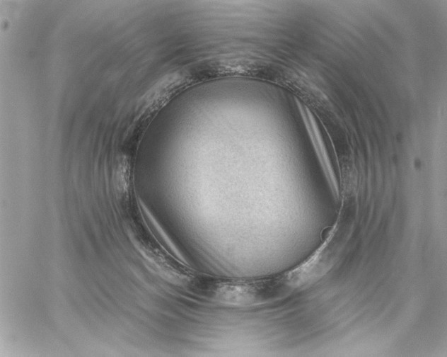 X0000059070174200510172013