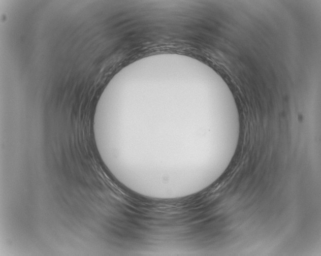 X0000059070185200510172013