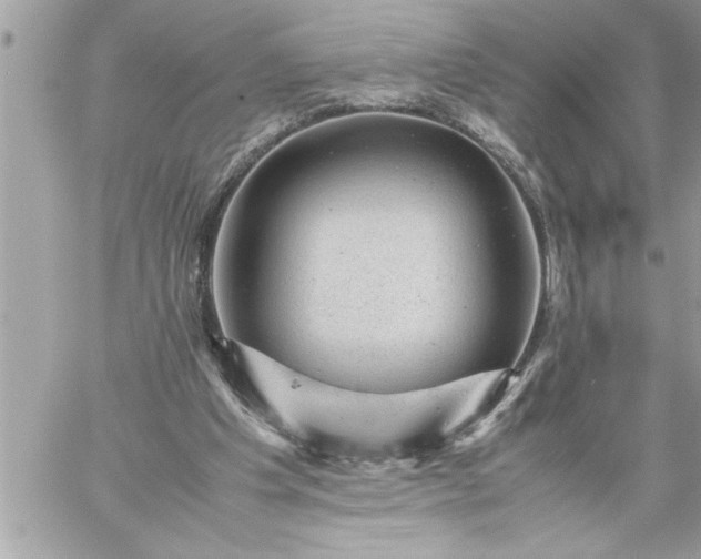 X0000059070201200510172013