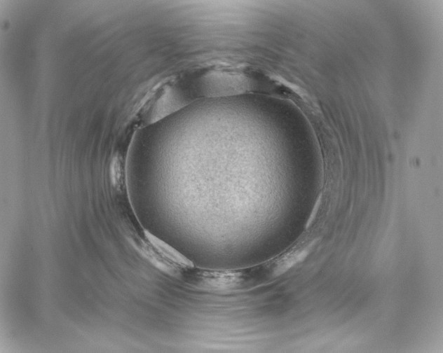 X0000059070288200510172012