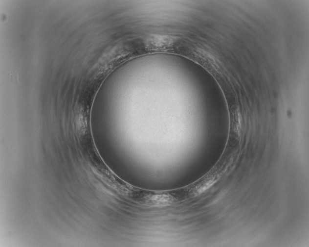X0000059070324200510172011